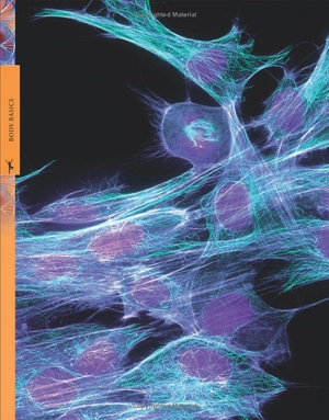 human body a children's encyclopedia - Ảnh 16