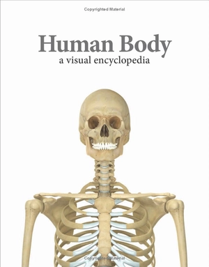 human body a children's encyclopedia - Ảnh 2