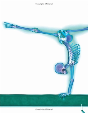 human body a children's encyclopedia - Ảnh 3