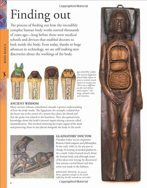 human body a children's encyclopedia - Ảnh 8