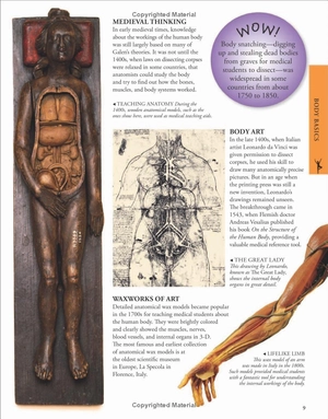 human body a children's encyclopedia - Ảnh 9