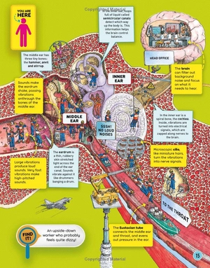 human body factory - a guide to your insides - Ảnh 12