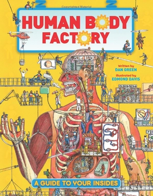 human body factory - a guide to your insides - Ảnh 2