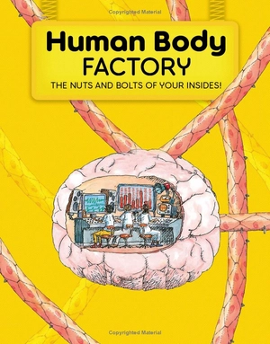 human body factory - a guide to your insides - Ảnh 3