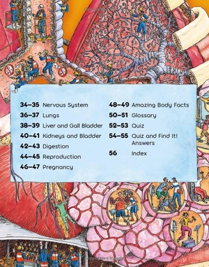 human body factory - a guide to your insides - Ảnh 6