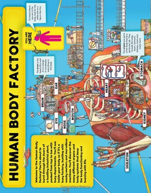 human body factory - a guide to your insides - Ảnh 7