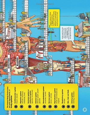 human body factory - a guide to your insides - Ảnh 8