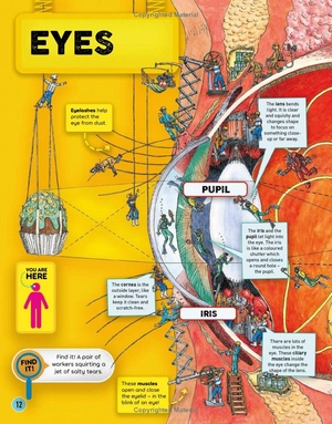 human body factory - a guide to your insides - Ảnh 9