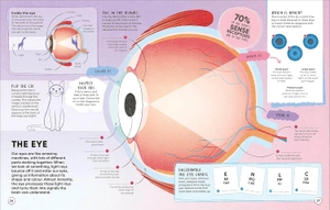 human body - over 100 brain-boosting activities that make learning easy and fun - Ảnh 4