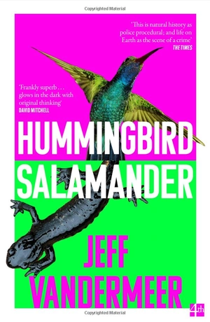 hummingbird salamander - Ảnh 2