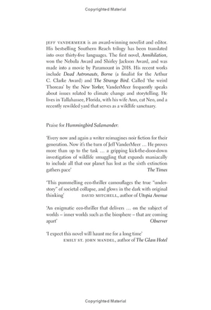 hummingbird salamander - Ảnh 3