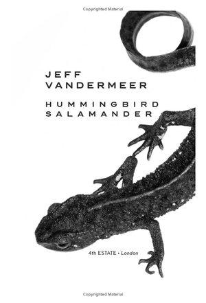 hummingbird salamander - Ảnh 5