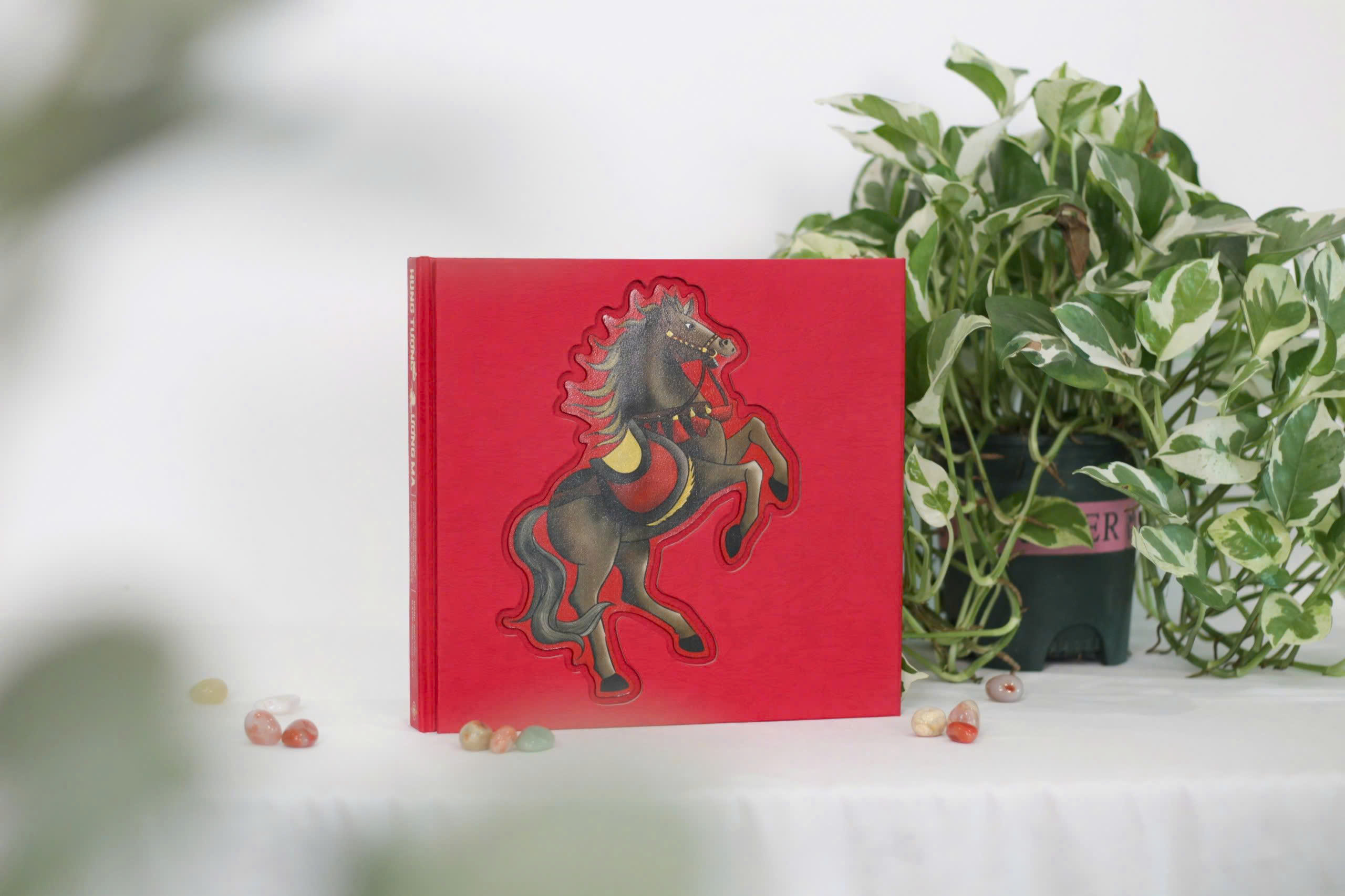 Hùng Tượng Lương Mã - Những Câu Chuyện Về Kỵ Binh, Tượng Binh Trong Lịch Sử Việt Nam - Ấn Bản Đặc Biệt - Bìa Cứng - Ảnh 5