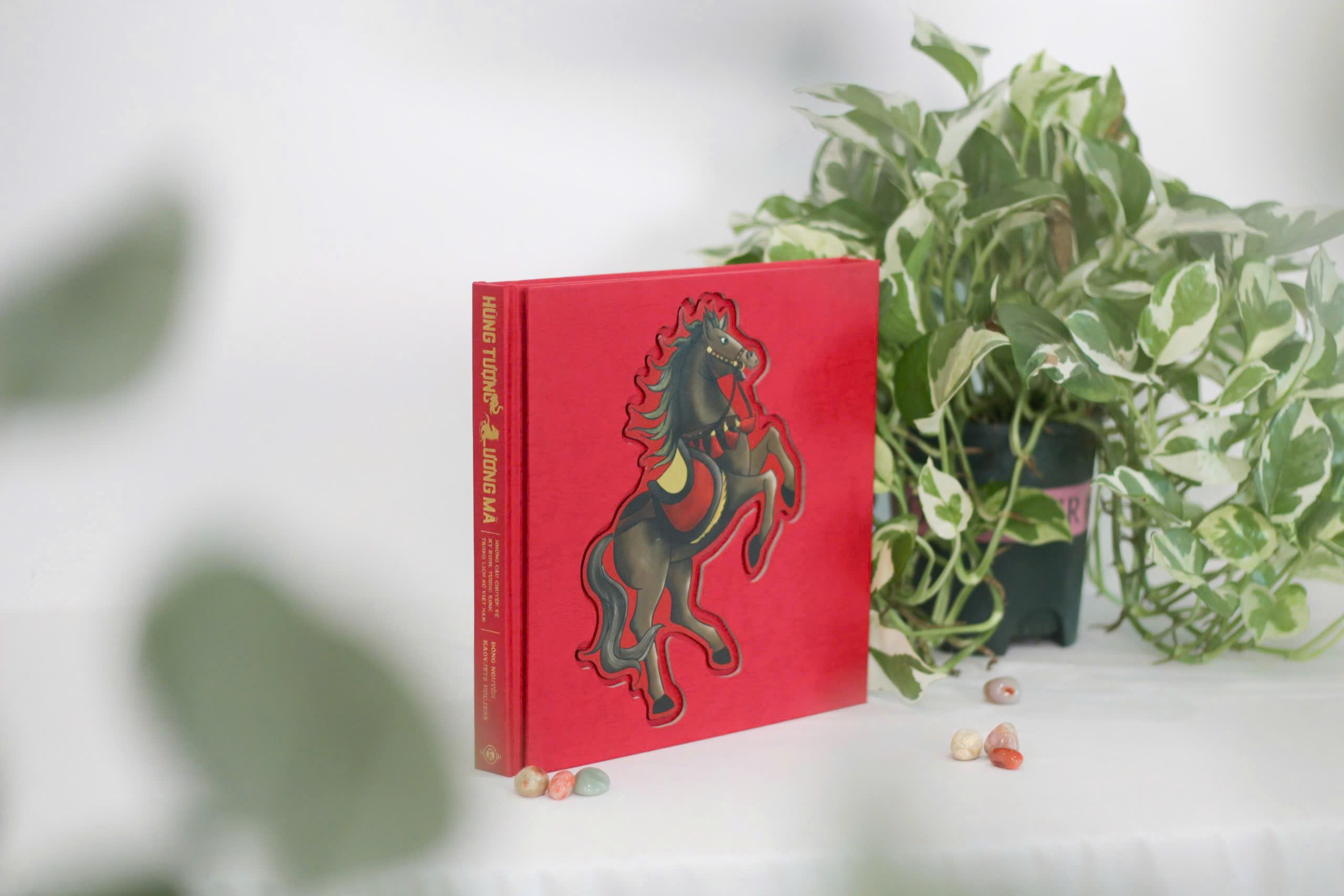 Hùng Tượng Lương Mã - Những Câu Chuyện Về Kỵ Binh, Tượng Binh Trong Lịch Sử Việt Nam - Ấn Bản Đặc Biệt - Bìa Cứng - Ảnh 6