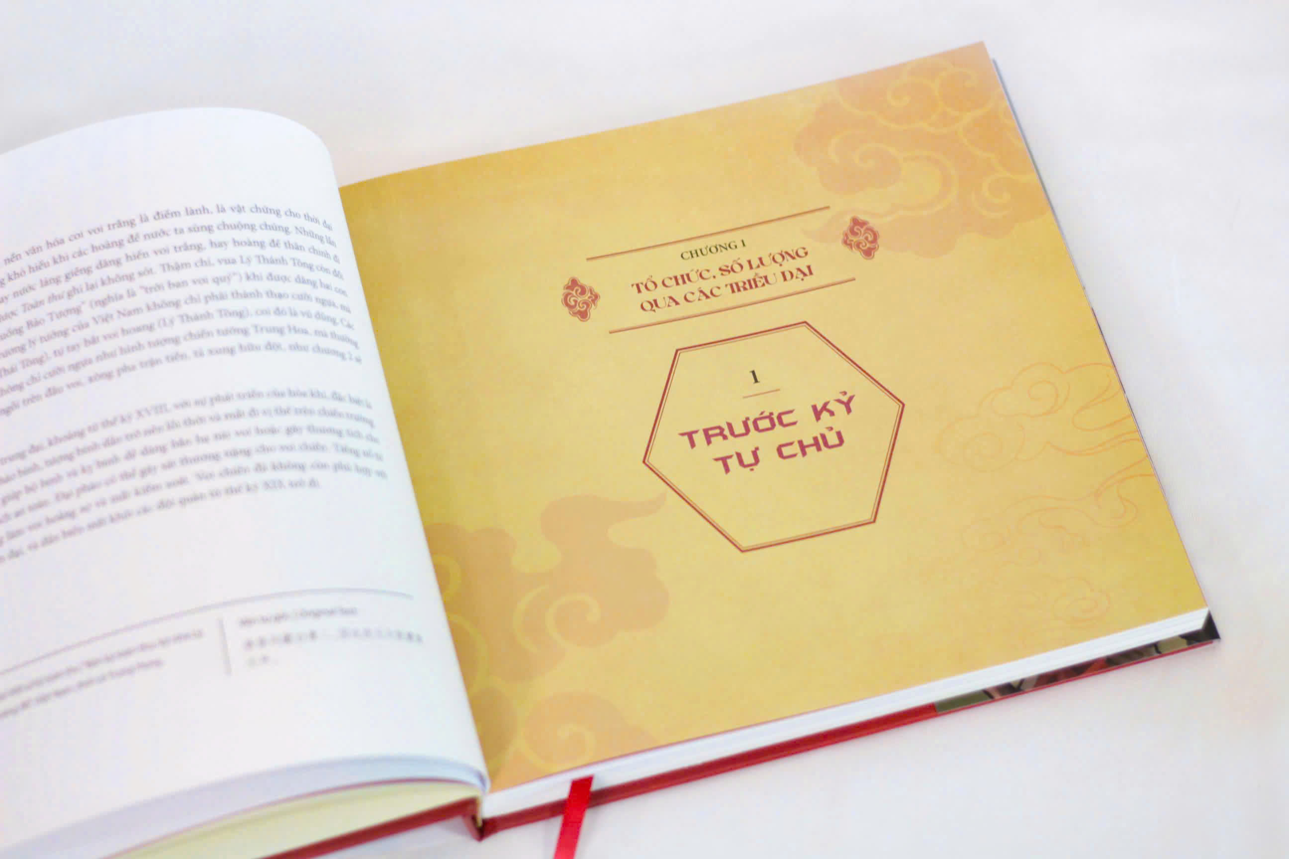 Hùng Tượng Lương Mã - Những Câu Chuyện Về Kỵ Binh, Tượng Binh Trong Lịch Sử Việt Nam - Ấn Bản Đặc Biệt - Bìa Cứng - Ảnh 9