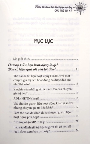 hướng dẫn cha mẹ thực hành trị liệu hoạt động cho trẻ tự kỷ (tái bản 2022) - Ảnh 3