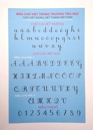 hướng dẫn chi tiết bé tập viết - vở ô ly nét cơ bản & chữ số - Ảnh 3