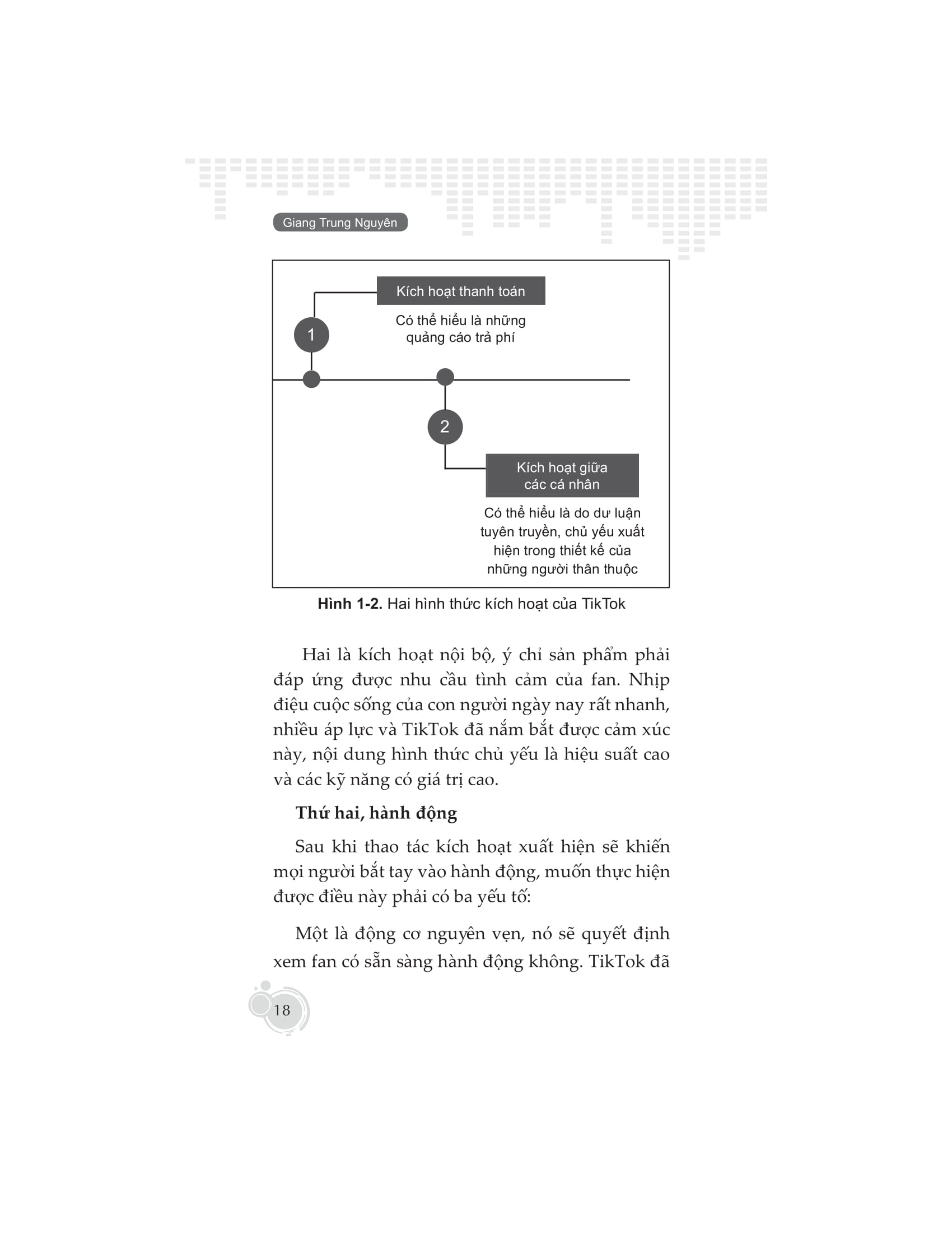 hướng dẫn kiếm tiền trên tiktok - Ảnh 15