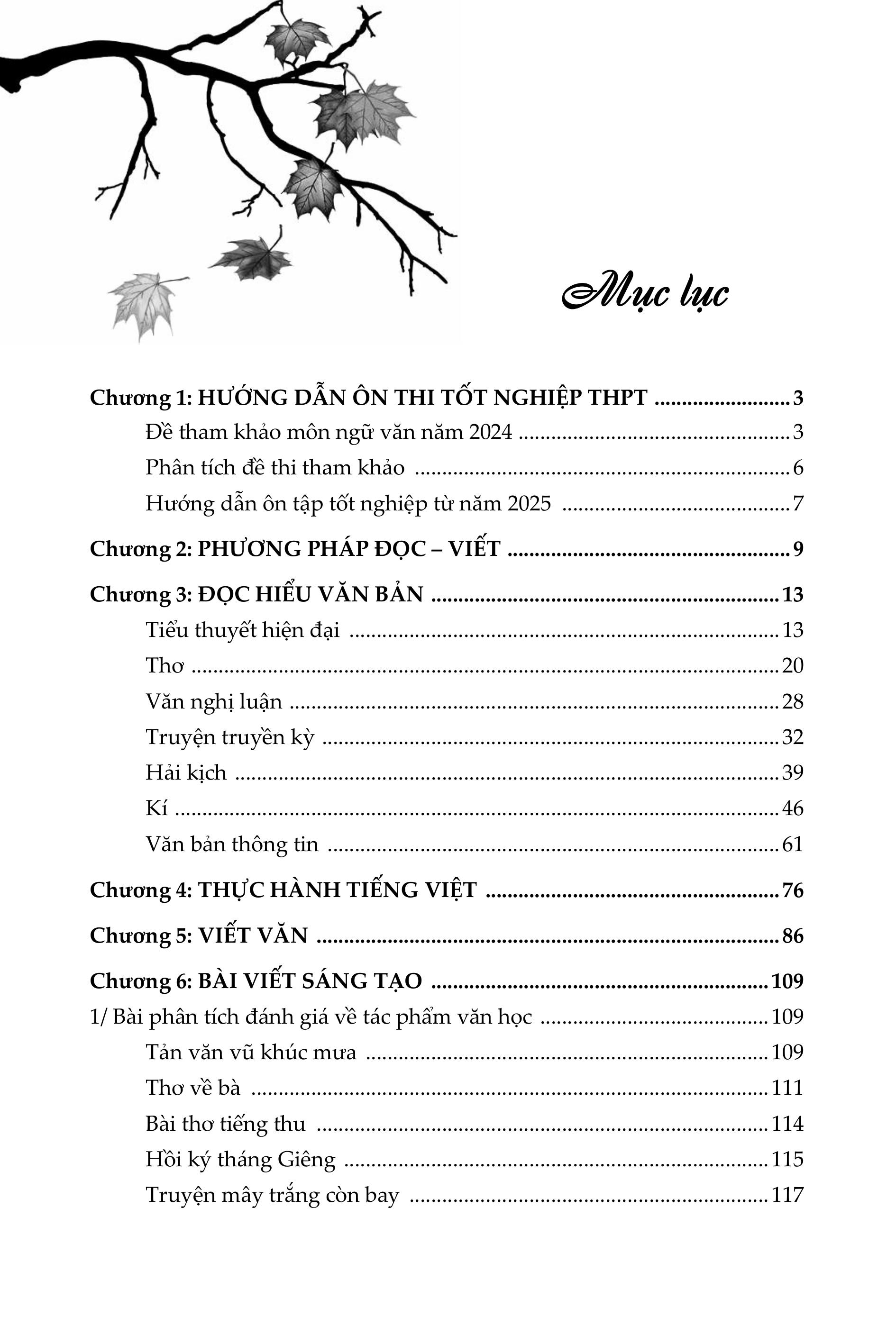 hướng dẫn ôn thi tốt nghiệp trung học phổ thông - môn ngữ văn - Ảnh 3