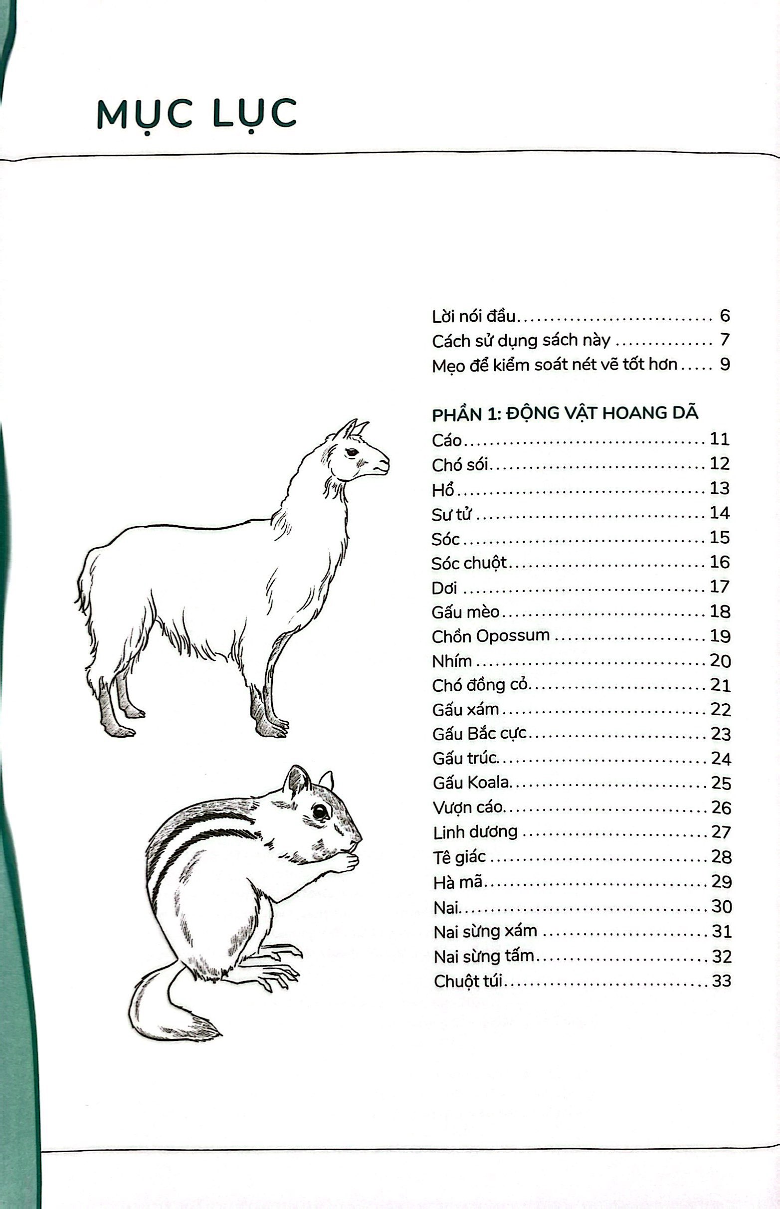hướng dẫn vẽ 100 loài động vật hoang dã - Ảnh 3
