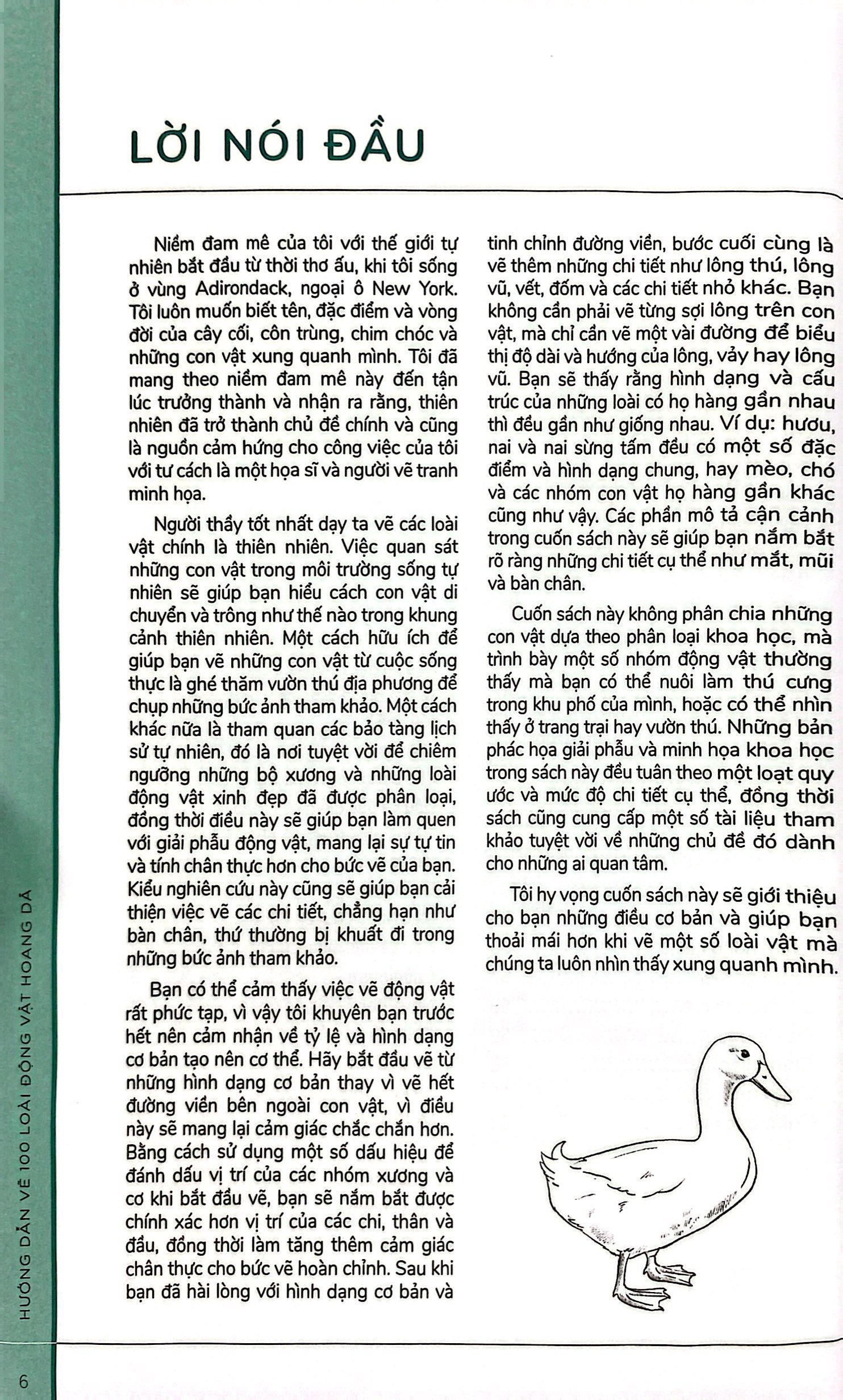 hướng dẫn vẽ 100 loài động vật hoang dã - Ảnh 5