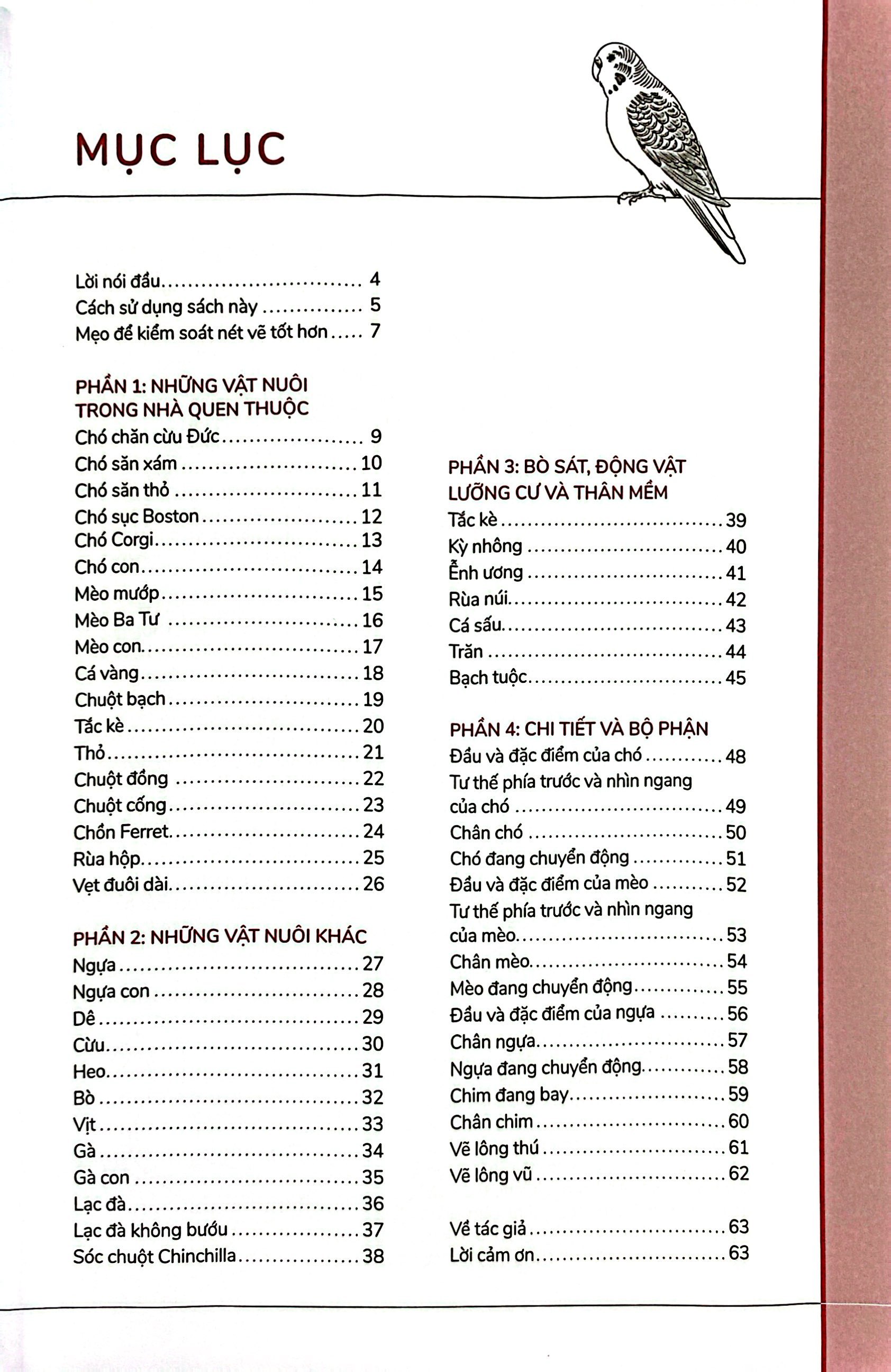 hướng dẫn vẽ 100 loài động vật nuôi - Ảnh 3