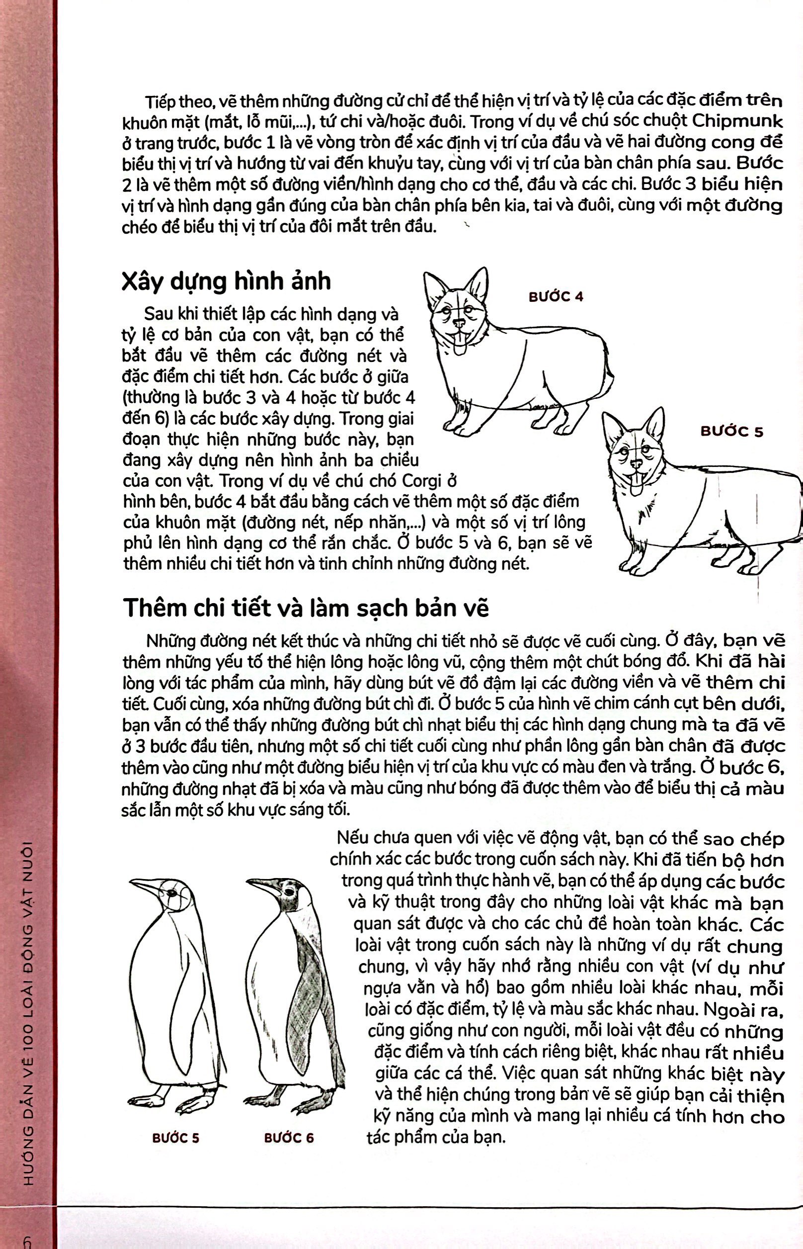 hướng dẫn vẽ 100 loài động vật nuôi - Ảnh 6