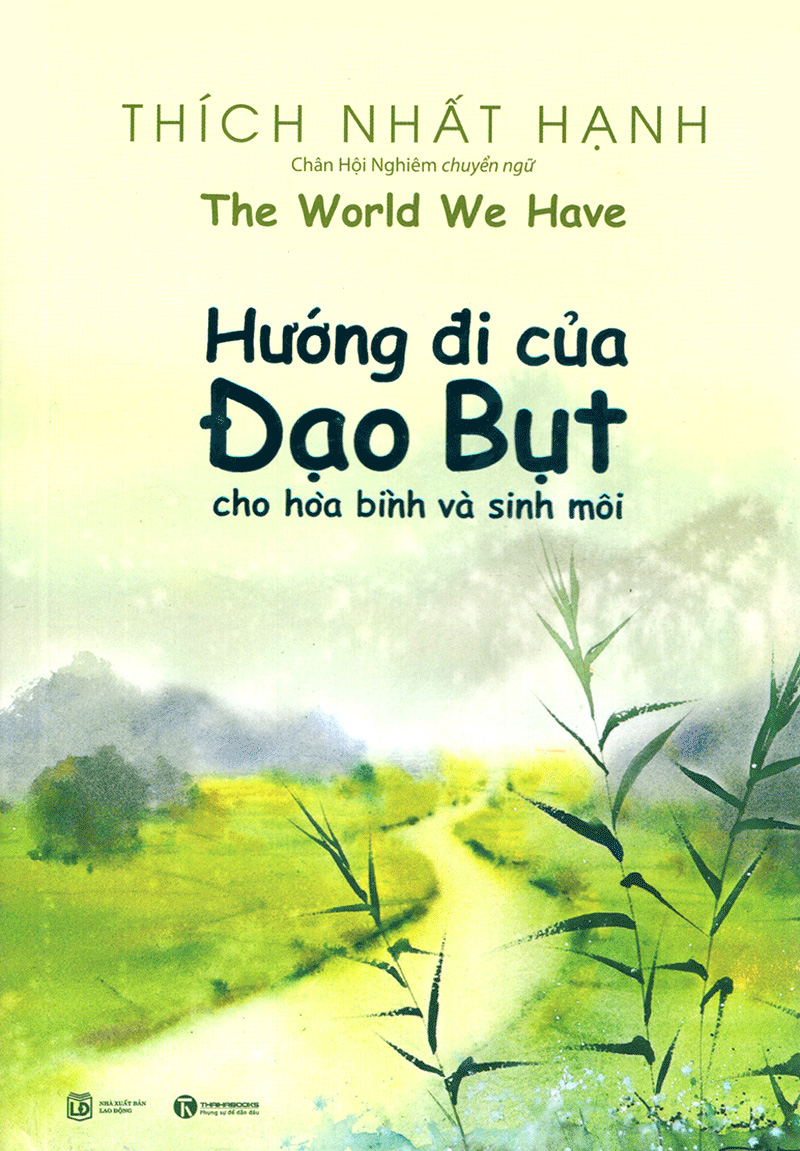 hướng đi của đạo bụt cho hòa bình và sinh môi - Ảnh 2