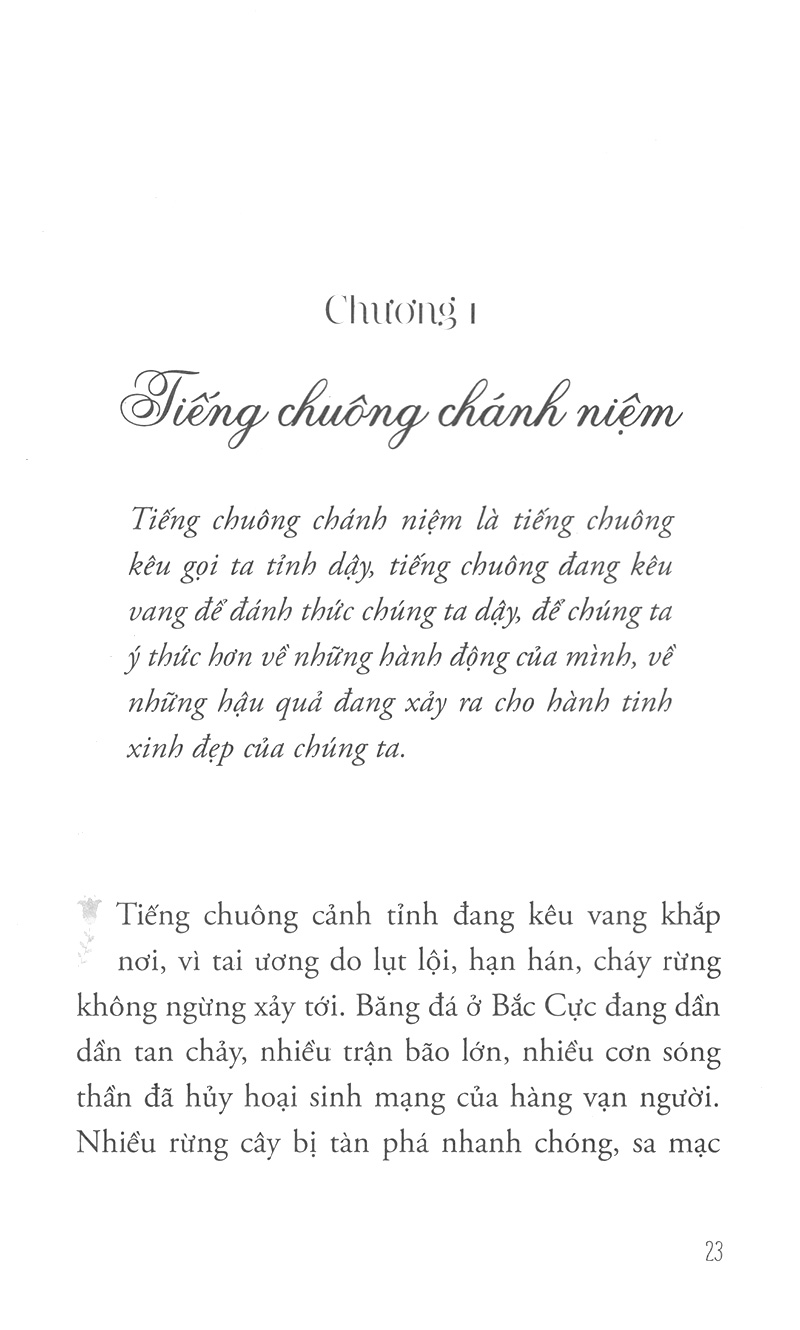 hướng đi của đạo bụt cho hòa bình và sinh môi - Ảnh 4