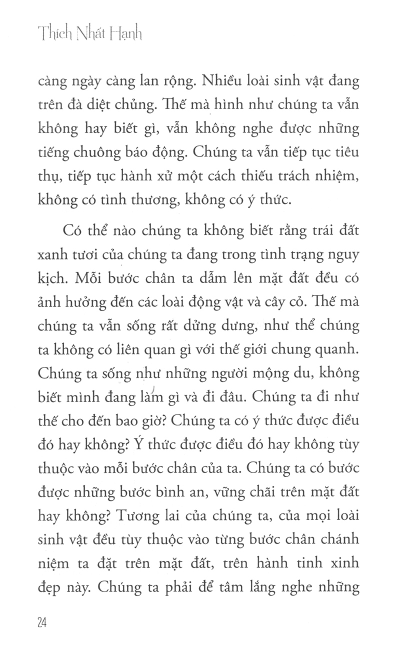 hướng đi của đạo bụt cho hòa bình và sinh môi - Ảnh 5