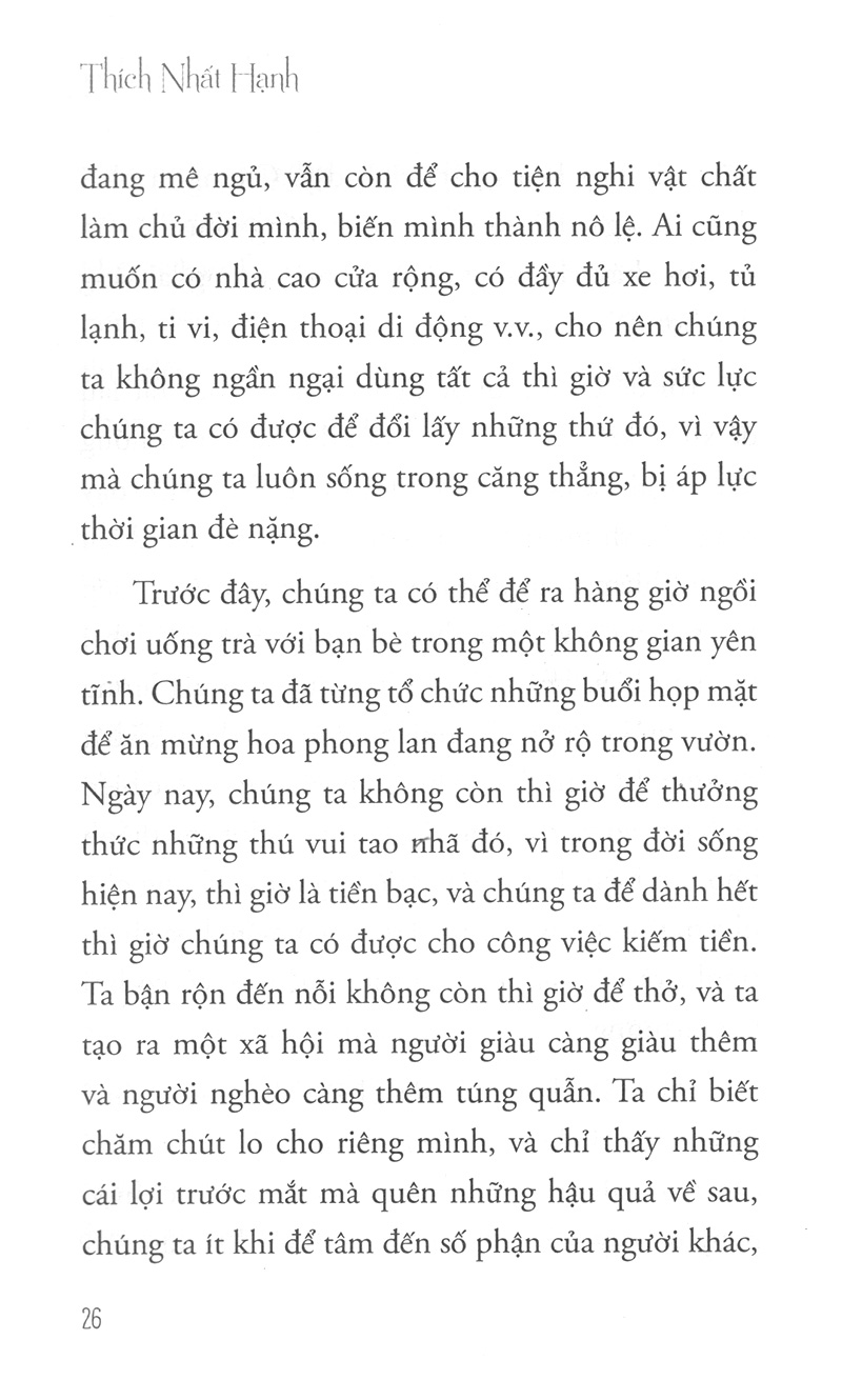 hướng đi của đạo bụt cho hòa bình và sinh môi - Ảnh 7