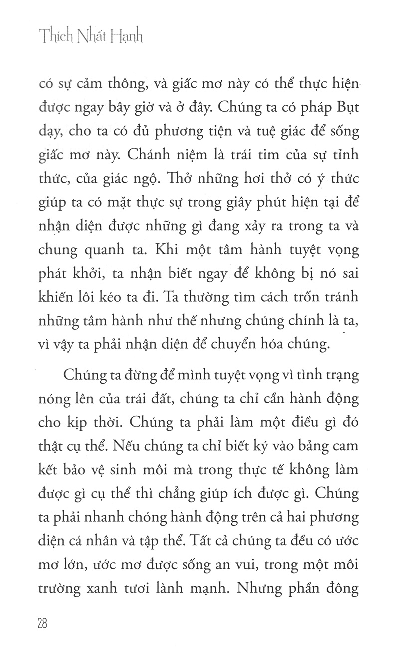 hướng đi của đạo bụt cho hòa bình và sinh môi - Ảnh 9