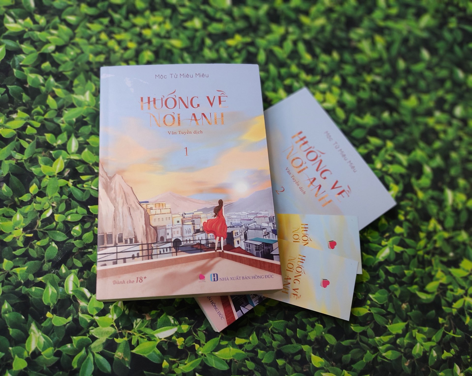 hướng về nơi anh (bộ 2 tập) - Ảnh 5