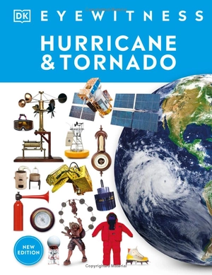 hurricane and tornado - Ảnh 2
