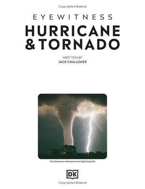 hurricane and tornado - Ảnh 4