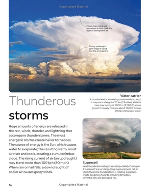 hurricane and tornado - Ảnh 7