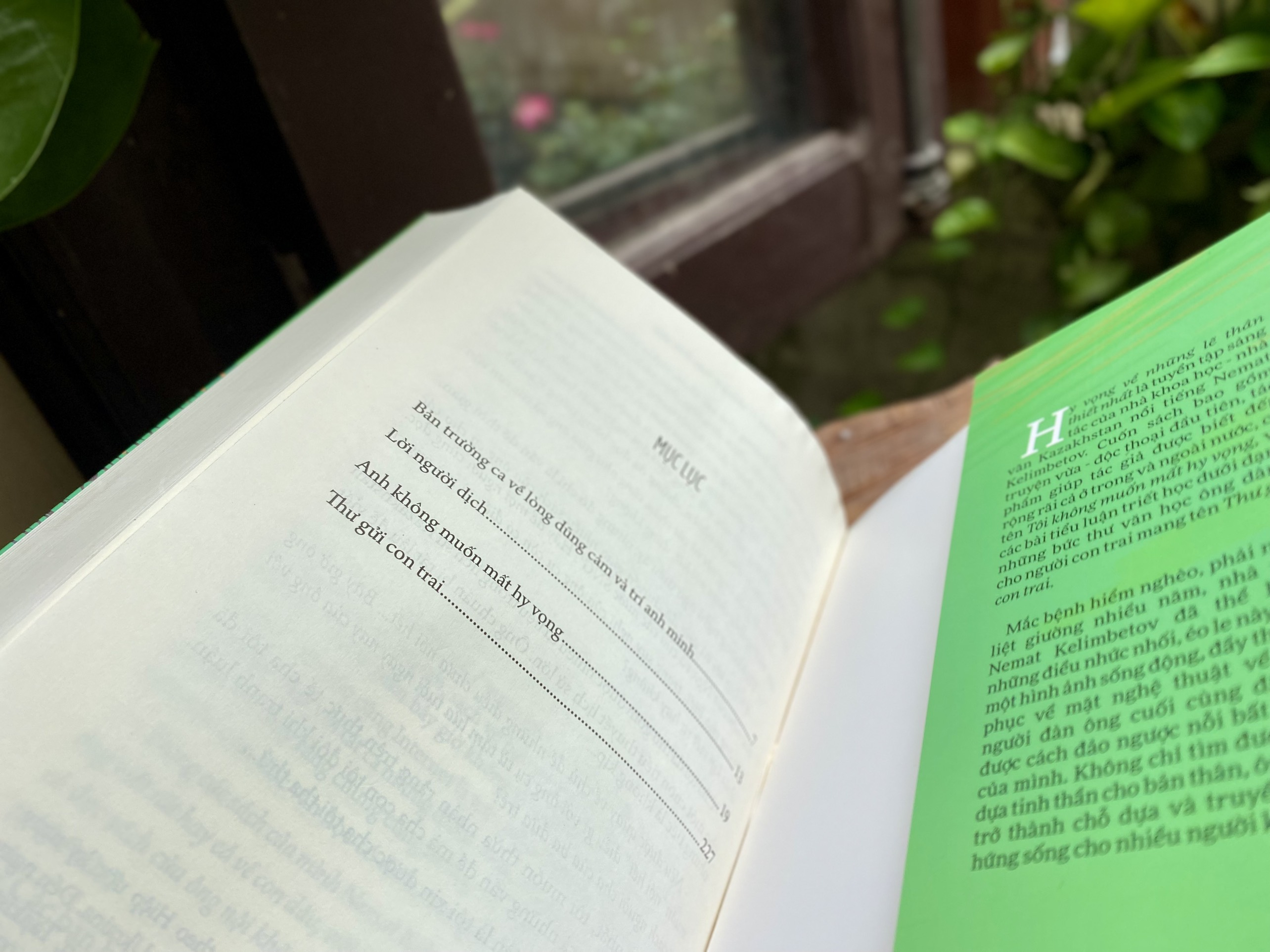 hy vọng về những lẽ thân thiết nhất - Ảnh 5