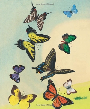 i am a bunny - Ảnh 7