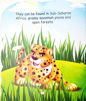 i am a cheetah... the fastest land animal in the world - Ảnh 4