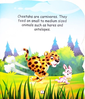 i am a cheetah... the fastest land animal in the world - Ảnh 5