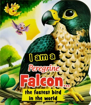 i am a peregrine falcon... the fastest bird in the world - Ảnh 2