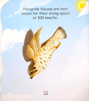 i am a peregrine falcon... the fastest bird in the world - Ảnh 4