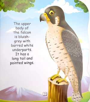 i am a peregrine falcon... the fastest bird in the world - Ảnh 5