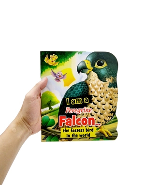 i am a peregrine falcon... the fastest bird in the world - Ảnh 7