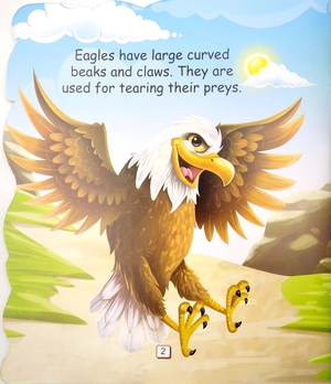 i am an eagle… the king of the sky - Ảnh 4