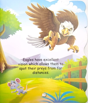 i am an eagle… the king of the sky - Ảnh 5