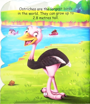 i am an ostrich… the largest bird in the world - Ảnh 4