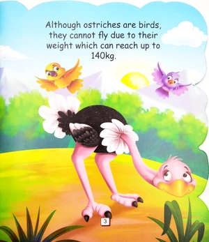i am an ostrich… the largest bird in the world - Ảnh 5