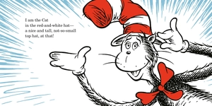 i am the cat in the hat (dr. seuss's i am board books) - Ảnh 3