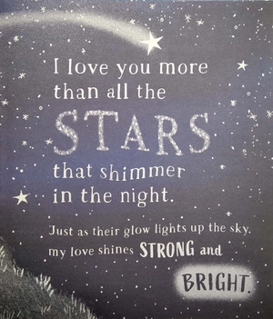 i love you more than all the stars - Ảnh 4